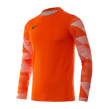 Dry Park IV Goalkeeper Jersey Long Sleeve
