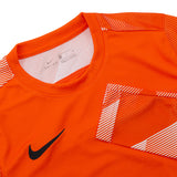 Dry Park IV Goalkeeper Jersey Long Sleeve