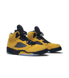 5 Retro Michigan (2019)