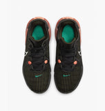 LEBRON WITNESS VI