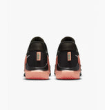 LEBRON WITNESS VI