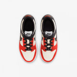 Dunk Low EMB NBA 75th Anniversary Chicago (PS)