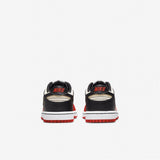 Dunk Low EMB NBA 75th Anniversary Chicago (PS)
