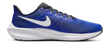 Pegasus 39
