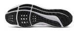 Pegasus 39