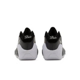 AIR ZOOM FLIGHT 95