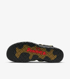 ACG AIR DESCHUTZ+