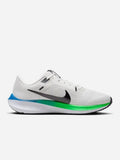 Pegasus 40
