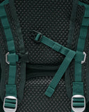 Acg Aysen Green