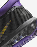 LEBRON WITNESS VIII