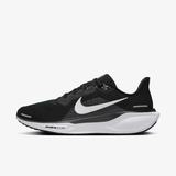 AIR ZOOM PEGASUS 41 10 (44)