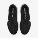 AIR ZOOM PEGASUS 41 10 (44)