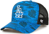 LA DODGERS FIJI OFFSIDE DT