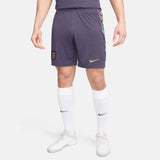 Dri-FIT Football Replica Shorts