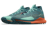 Pegasus Trail 4 GORE-TEX