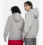 Sb Hoodie Grey