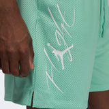 Air Jordan Essentials Shorts Green