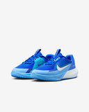 SONIC FLY (GS)