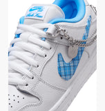SB DUNK LOW PRO