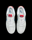 Dunk Low 2024 Grey