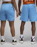 Air Jordan Artist Series By Darien Birks Shorts Light Blue