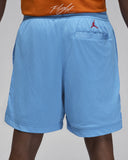 Air Jordan Artist Series By Darien Birks Shorts Light Blue