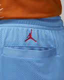 Air Jordan Artist Series By Darien Birks Shorts Light Blue