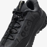 ACG MOUNTAIN FLY 2 LOW GTX
