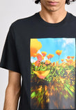 Oc Photo Black