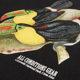 ACG Toucan