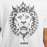 LBJ M NK TEE M90 SP25