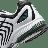 Pegasus 2005 White Green