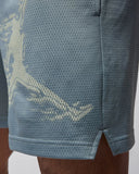 Air Jordan Df Sprt Gfx Light Blue