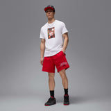 Air Jordan Brk Lbr Gfx Red