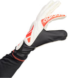 COPA GL CLB 10
