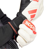 COPA GL CLB 10