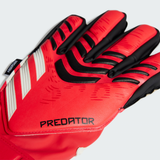 PRED GL MTC FSJ 5