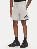 Z.N.E Grey Shorts