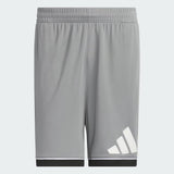 Basketball Shorts Grey 7 inc
