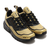 ACS+ FT Olive Gold 42.5