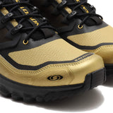 ACS+ FT Olive Gold 42.5