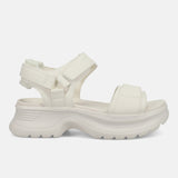 White 36.5