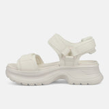 White 36.5