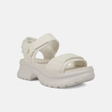 White 36.5