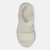 White 36.5