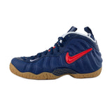 Air Foamposite Pro