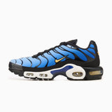 AIR MAX PLUS OG