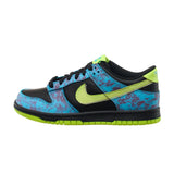 Dunk Low SE