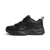 Air Monarch IV